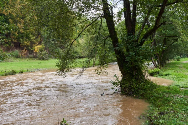 River Flooding Muddy Waters Making Rapids Waves — Stock Photo, Image