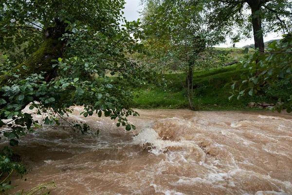 Řeka Zaplavená Bahnitými Vodami Které Tvoří Peřeje Vlny Royalty Free Stock Fotografie