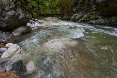 Romanya 'nın Apuseni doğal rezervindeki Jgheaburi kanyonunda hızla akan Galbena nehri