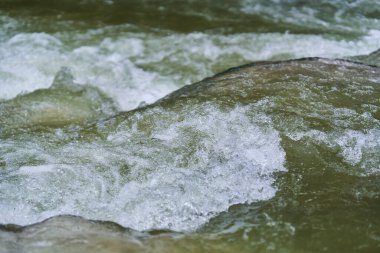 Romanya 'nın Apuseni doğal rezervindeki Jgheaburi kanyonunda hızla akan Galbena nehri
