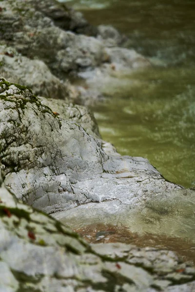 Rzeka Galbena Płynąca Szybko Kanionie Jgheaburi Rezerwacie Przyrody Apuseni Rumunia — Zdjęcie stockowe