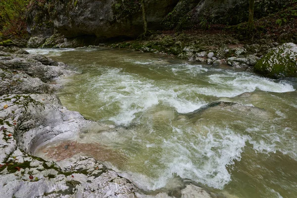 Река Гальбена Стремительно Течет Каньоне Джхеабури Природном Заповеднике Апушень Румыния — стоковое фото