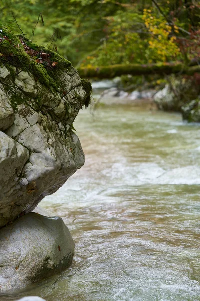 Rio Galbena Que Flui Rapidamente Desfiladeiro Jgheaburi Reserva Natural Apuseni — Fotografia de Stock