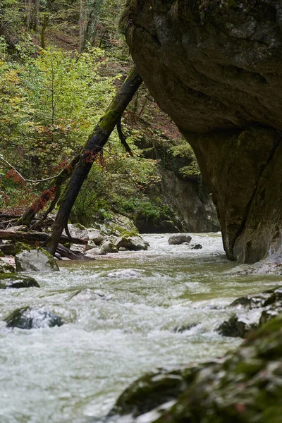 Río Galbena Fluye Rápidamente Cañón Jgheaburi Reserva Natural Apuseni Rumania —  Fotos de Stock