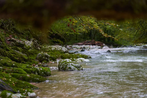 Rio Galbena Que Flui Rapidamente Desfiladeiro Jgheaburi Reserva Natural Apuseni — Fotografia de Stock