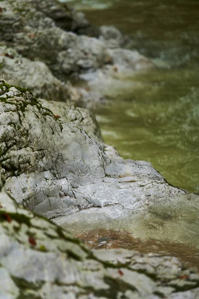 Rio Galbena Que Flui Rapidamente Desfiladeiro Jgheaburi Reserva Natural Apuseni Imagem De Stock