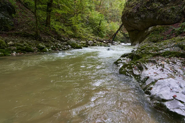 River Flowing Enchanted Forest Moss Covered Boulders — Stock Photo, Image