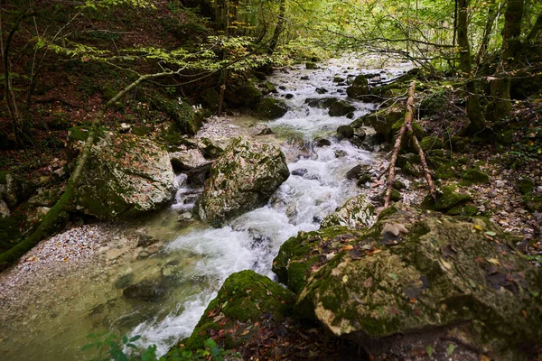 河流流过迷人的森林 上面覆盖着苔藓卵石 — 图库照片