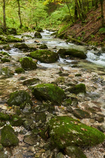 Folyó Folyik Egy Elvarázsolt Erdőben Mohával Borított Sziklákkal — Stock Fotó