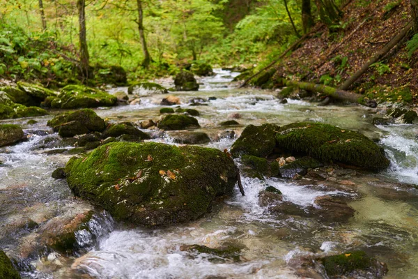 River flowing in an enchanted forest with moss covered boulders