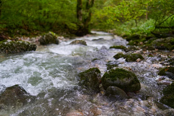Річка Тече Зачарованому Лісі Покритими Мохом Валунами — стокове фото