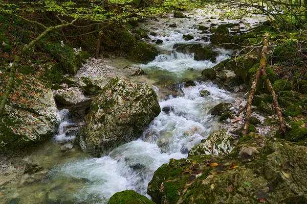 Река Текущая Заколдованном Лесу Валунами Покрытыми Мхом — стоковое фото