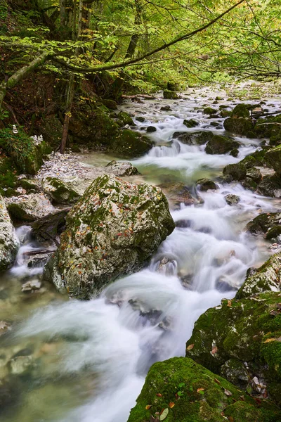 Rivier Stromend Een Betoverd Bos Met Mos Bedekte Rotsblokken — Stockfoto