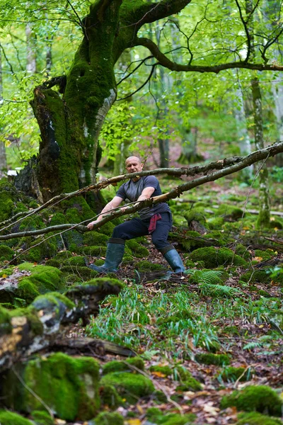 有经验的徒步旅行者在一条远足的小径上穿过一片茂密的森林 — 图库照片