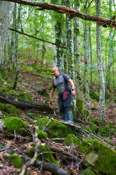 Caminhante Experiente Fazendo Seu Caminho Através Uma Antiga Floresta Exuberante — Fotografia de Stock