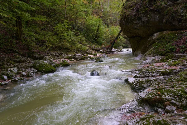 Paesaggio Con Fiume Che Scorre Rapidamente Attraverso Una Gola Montagna — Foto Stock