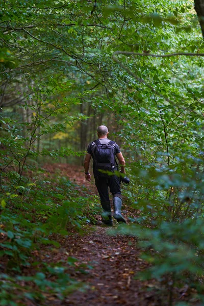Randonneur Expérimenté Faisant Son Chemin Travers Une Vieille Forêt Luxuriante — Photo