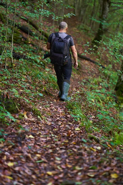 ハイキングコースの古い緑豊かな森を通って彼の道を作る経験豊富なハイカー — ストック写真