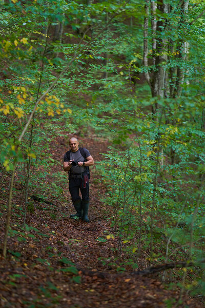 Experienced hiker making his way through an old lush forest on a hiking trail