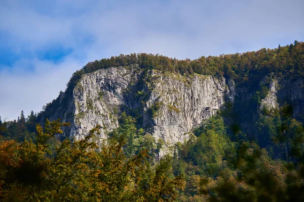 Landschap Met Een Klif Met Bos Rond — Stockfoto