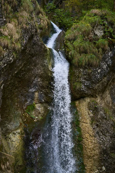 Paisagem Com Uma Cachoeira Nas Florestas Exuberantes — Fotografia de Stock