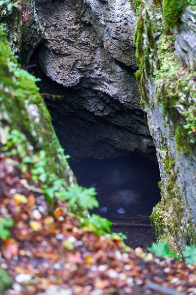 Ingresso Grotta Pineta Con Grande Apertura — Foto Stock