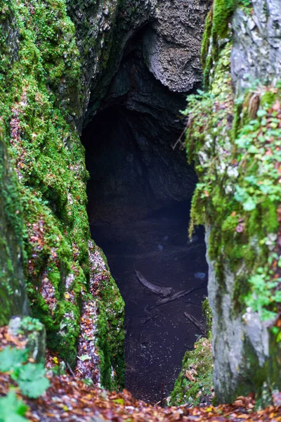 Höhleneingang Einem Kiefernwald Mit Einer Großen Öffnung — Stockfoto