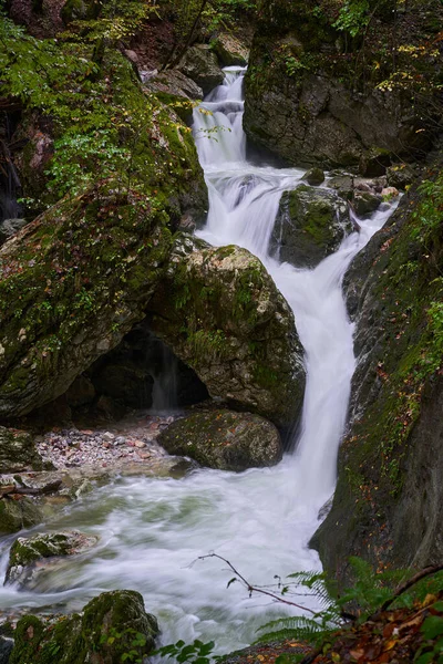 在植被茂密的高山上 河流急流穿过峡谷 — 图库照片