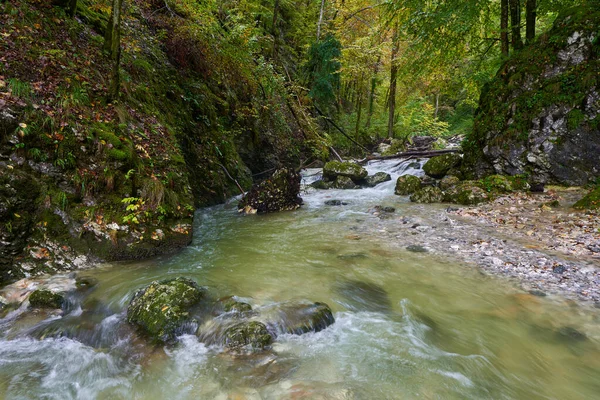 Flodforsar Genom Ravin Ett Berg Med Frodig Vegetation — Stockfoto