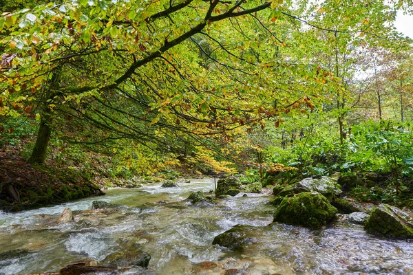 Stromschnellen Durch Eine Schlucht Einem Berg Mit Üppiger Vegetation — Stockfoto