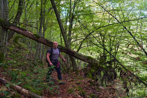 Senderista Experimentado Haciendo Camino Través Antiguo Bosque Exuberante Una Ruta —  Fotos de Stock