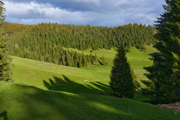 Landschap Met Bergen Bedekt Met Dennenbossen — Stockfoto