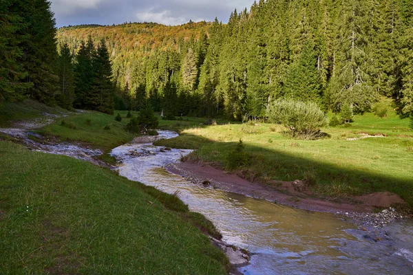 Landschap Met Zinkgaten Zuigers Van Een Karstsysteem Bergen Een Drainagenetwerk — Stockfoto