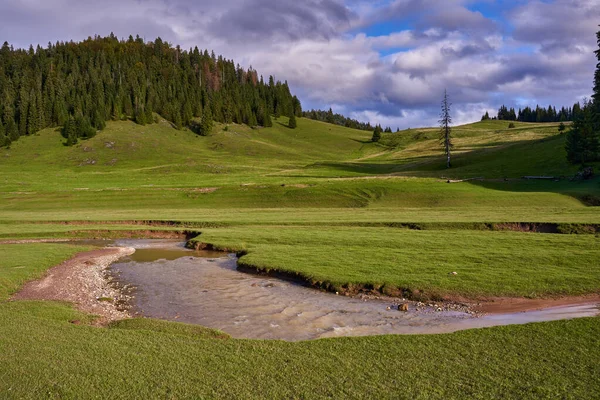 Landschap Met Zinkgaten Zuigers Van Een Karstsysteem Bergen Een Drainagenetwerk — Stockfoto