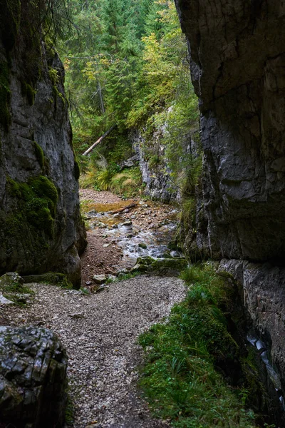 Río Que Fluye Una Cueva Sistema Kárstico Las Montañas Piedra —  Fotos de Stock