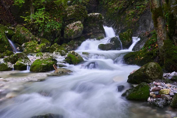 Nehir Yemyeşil Bir Bitki Örtüsüyle Dağdaki Bir Kanyondan Hızla Geçer — Stok fotoğraf