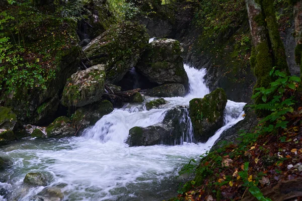 Rio Corre Através Cânion Uma Montanha Com Vegetação Exuberante — Fotografia de Stock