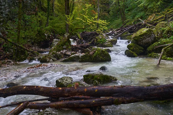 Nehir, yemyeşil bir bitki örtüsüyle dağdaki bir kanyondan hızla geçer.