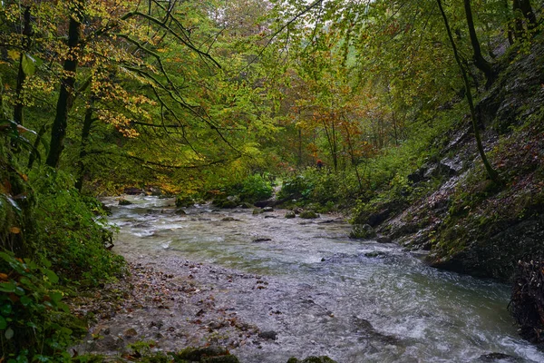 Ποταμός Διασχίζει Φαράγγι Βουνό Πλούσια Βλάστηση — Φωτογραφία Αρχείου