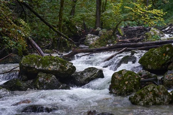 Rio Corre Através Cânion Uma Montanha Com Vegetação Exuberante — Fotografia de Stock