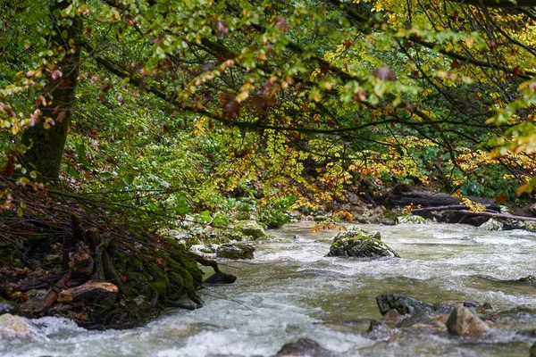 Rápidos Fluviales Través Cañón Una Montaña Con Exuberante Vegetación — Foto de Stock