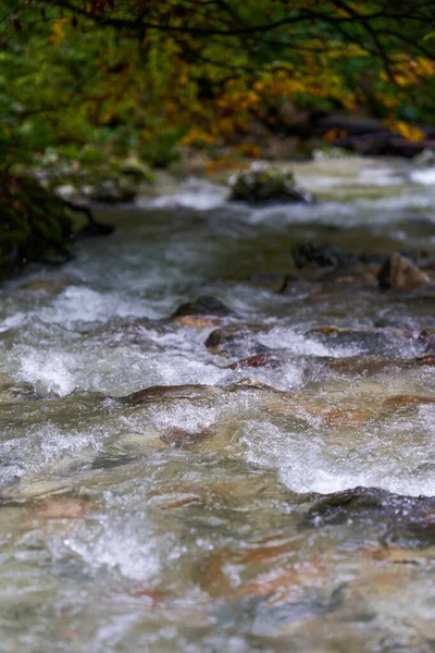 Rápidos Fluviales Través Cañón Una Montaña Con Exuberante Vegetación —  Fotos de Stock