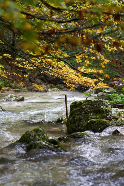 Rio Corre Através Cânion Uma Montanha Com Vegetação Exuberante — Fotografia de Stock