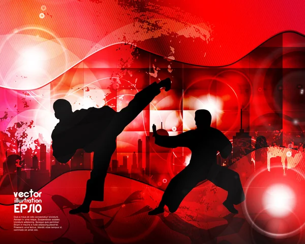 Ilustración de karate — Archivo Imágenes Vectoriales
