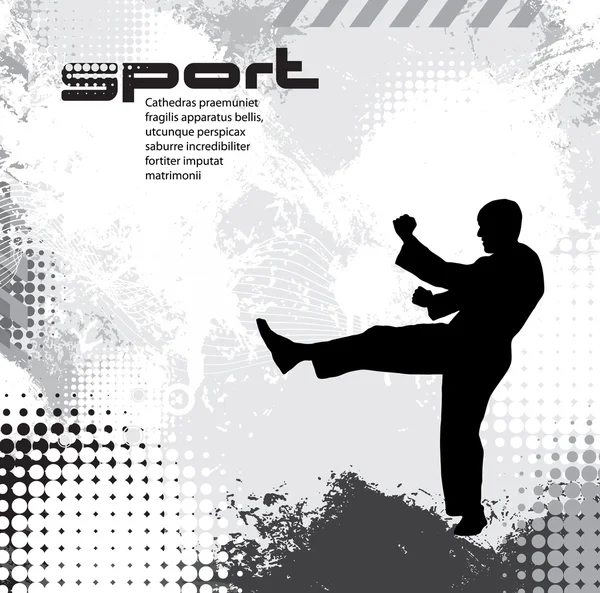 Sport. Karate-Illusion — Stockvektor