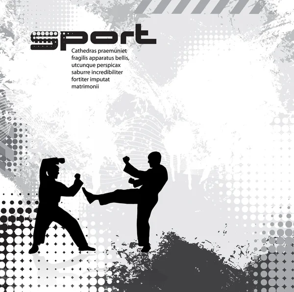 Sport. Illusione di karate — Vettoriale Stock