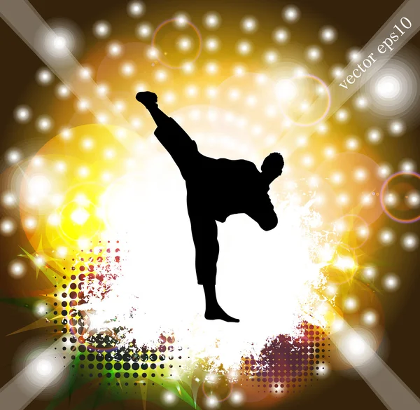 Karate — Stock Vector