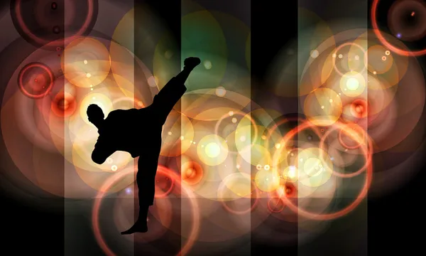 Silhouette di karate — Foto Stock