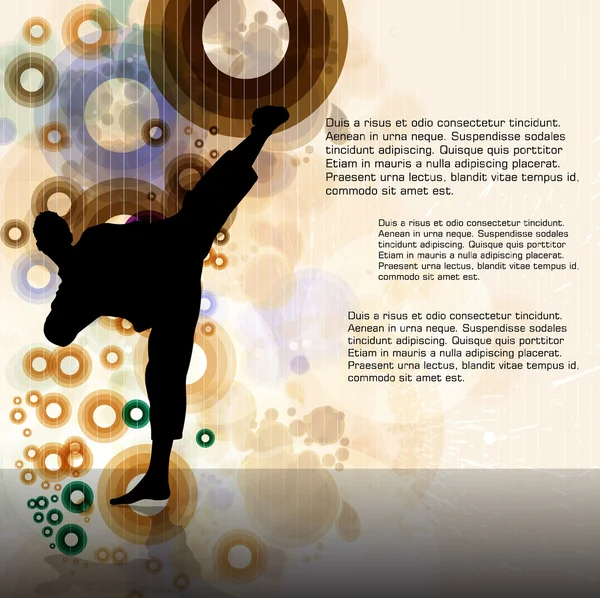 Karate. Sport illustration — Stock Vector