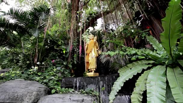 Statue de Bouddha — Video